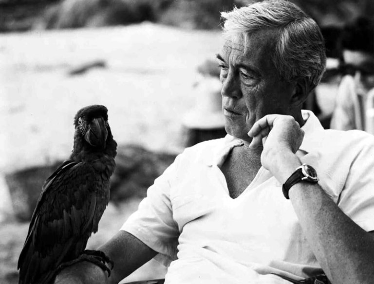 18. ¿Cuándo detonó Puerto Vallarta como destino turístico